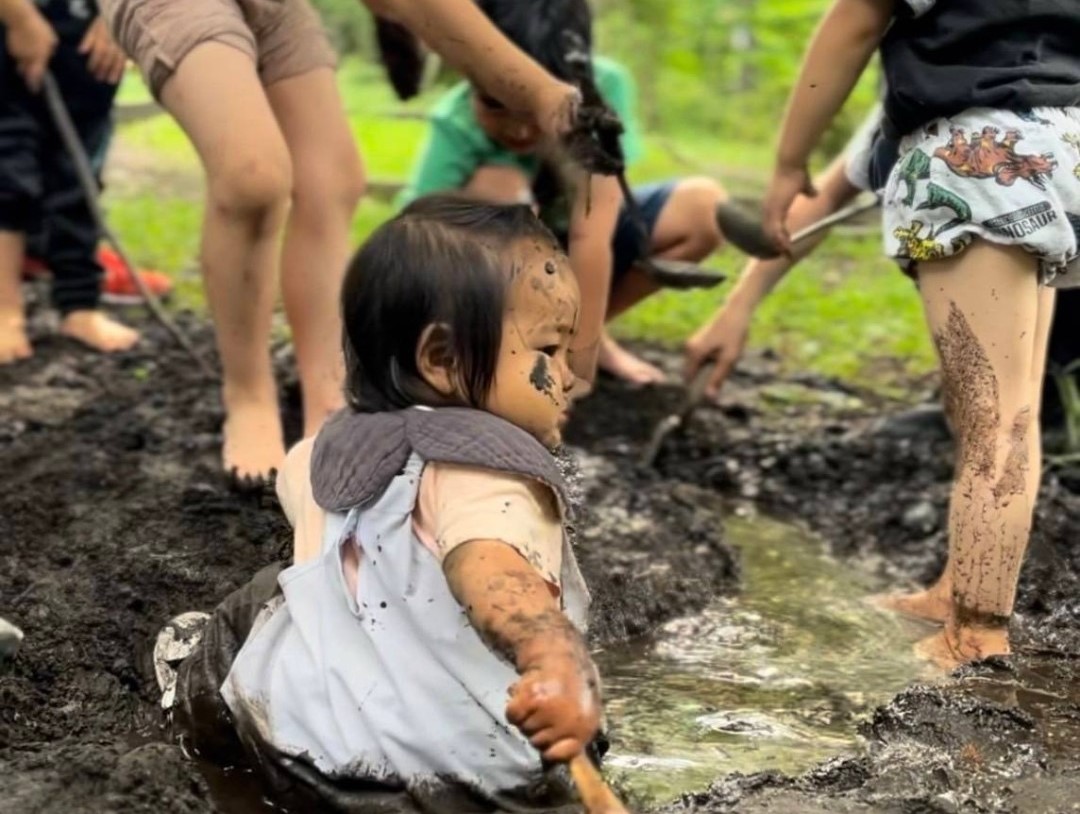 写真:善福寺冒険王国